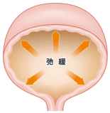 Β3アドレナリン受容体作動薬